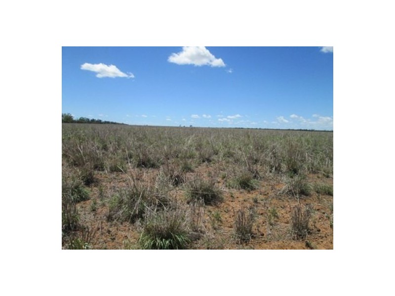 Moree NSW 2400