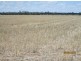 Moree NSW 2400