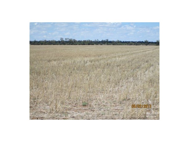 Moree NSW 2400