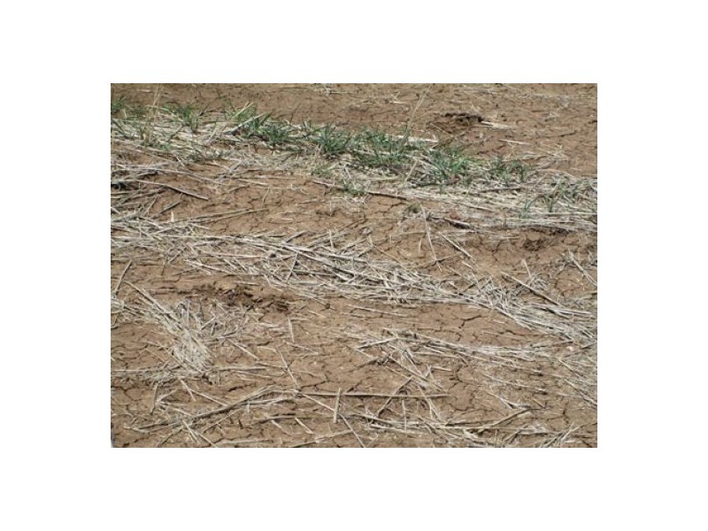 Moree NSW 2400