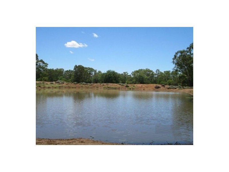 Moree NSW 2400