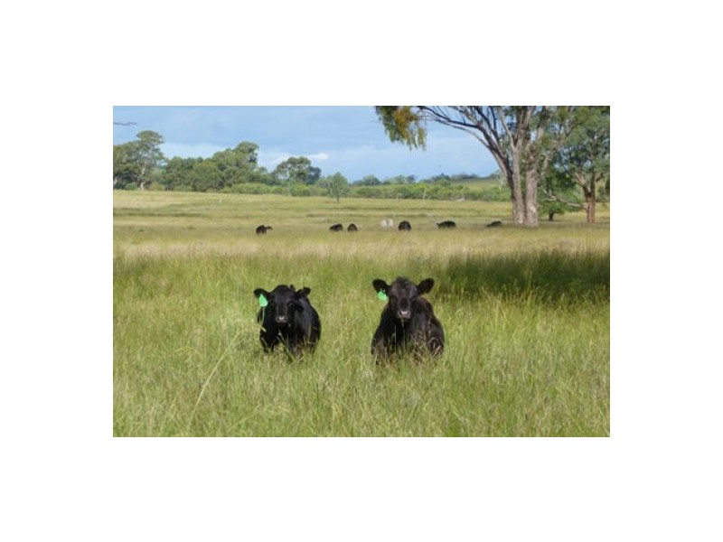 “Bluevale” & “Irragappa”, Bellata NSW 2397