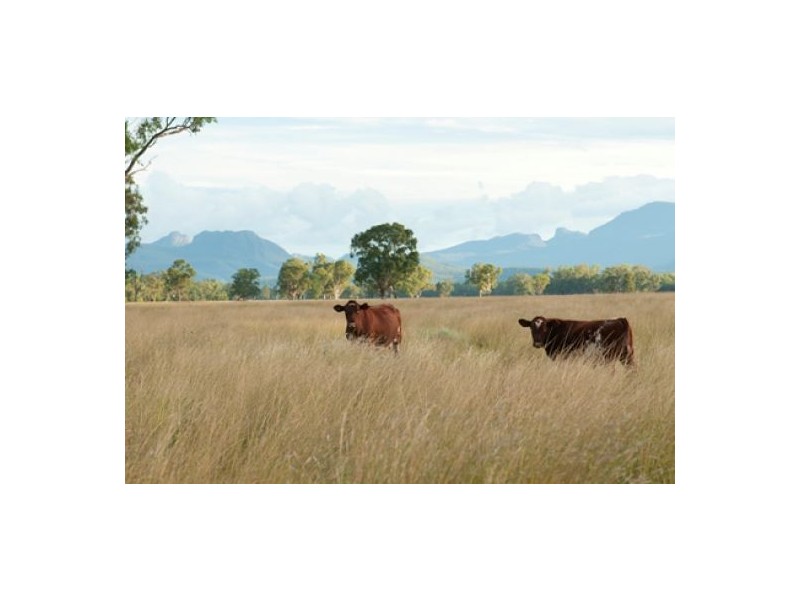 “Bluevale” & “Irragappa”, Bellata NSW 2397