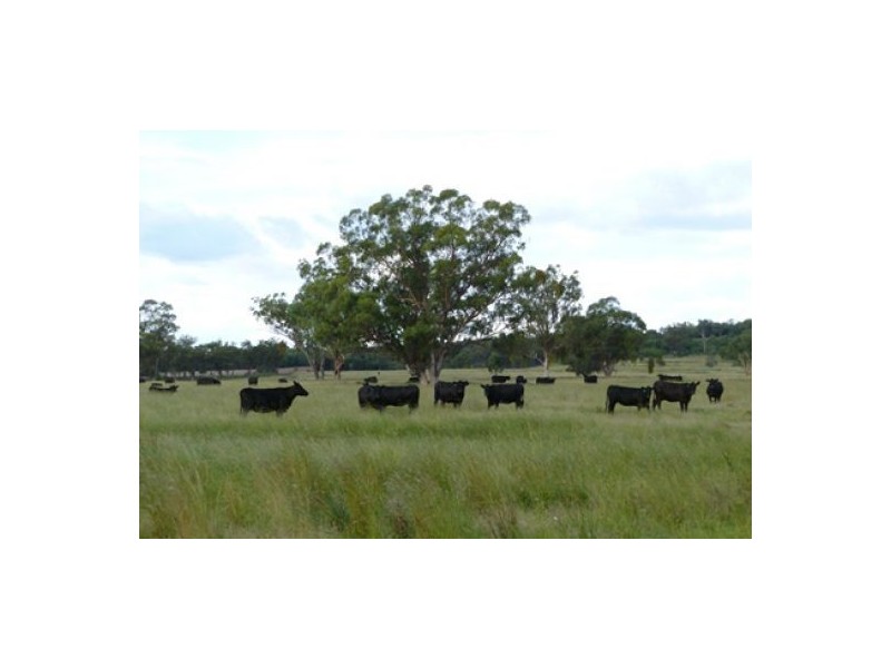 “Bluevale” & “Irragappa”, Bellata NSW 2397