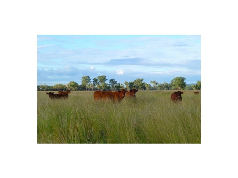 “Bluevale” & “Irragappa”, Bellata NSW 2397