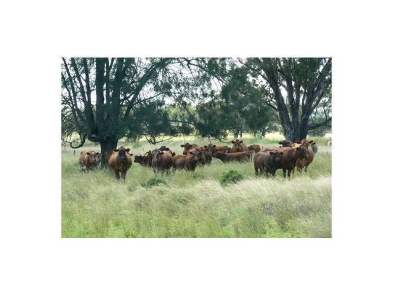 “Bluevale” & “Irragappa”, Bellata NSW 2397