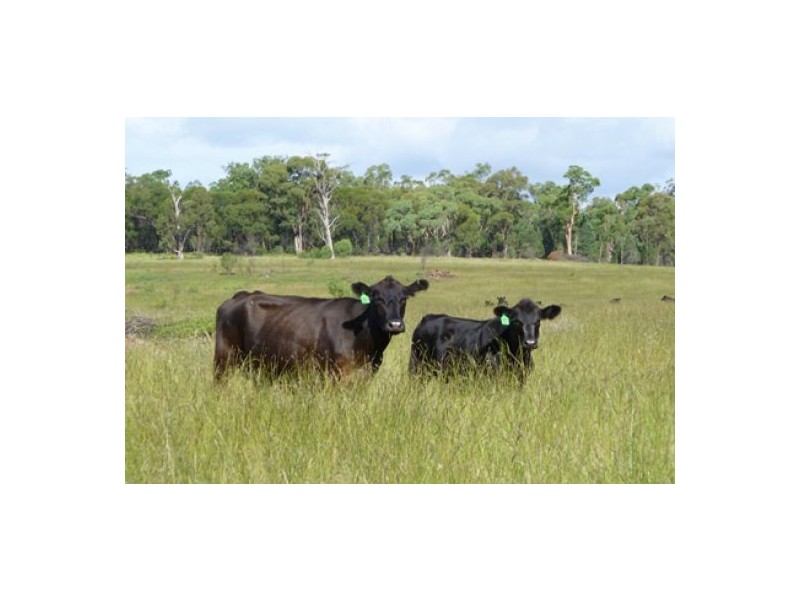 “Bluevale” & “Irragappa”, Bellata NSW 2397