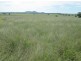 “Esmadale”, Warialda NSW 2402