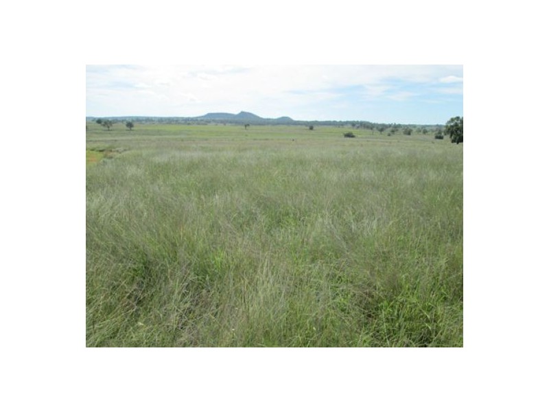 “Esmadale”, Warialda NSW 2402