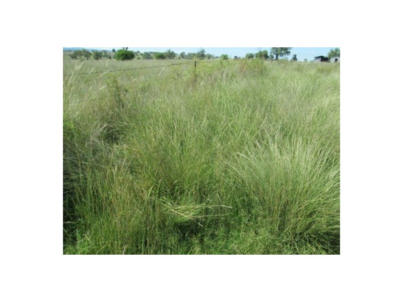 “Esmadale”, Warialda NSW 2402