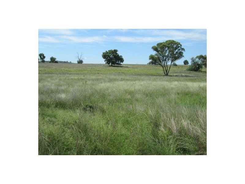 “Esmadale”, Warialda NSW 2402
