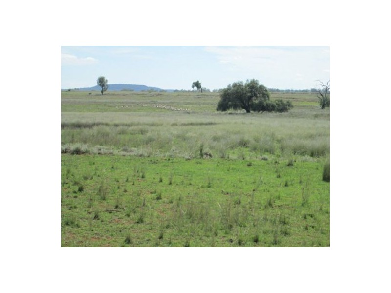 “Esmadale”, Warialda NSW 2402