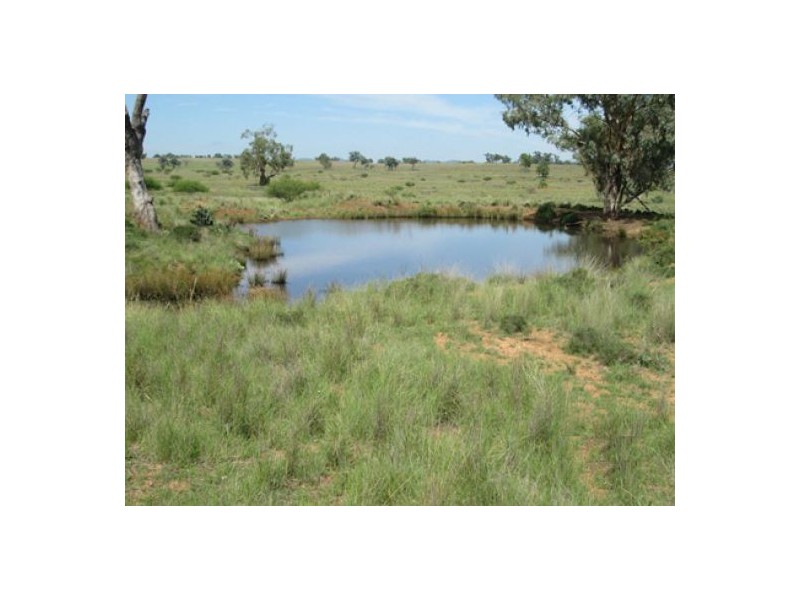 “Esmadale”, Warialda NSW 2402