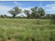 “Esmadale”, Warialda NSW 2402