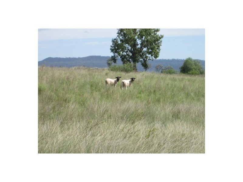 “Esmadale”, Warialda NSW 2402