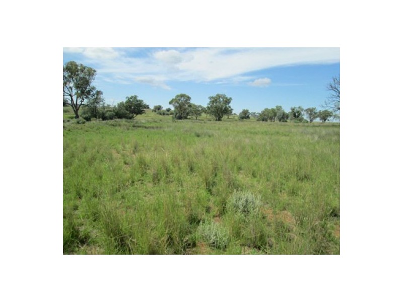 “Esmadale”, Warialda NSW 2402