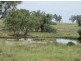 “Esmadale”, Warialda NSW 2402