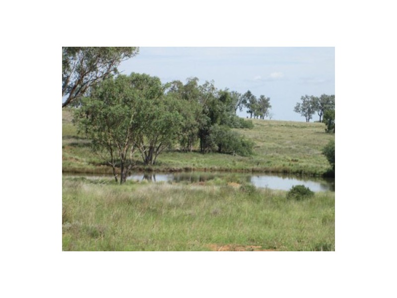 “Esmadale”, Warialda NSW 2402