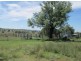 “Esmadale”, Warialda NSW 2402