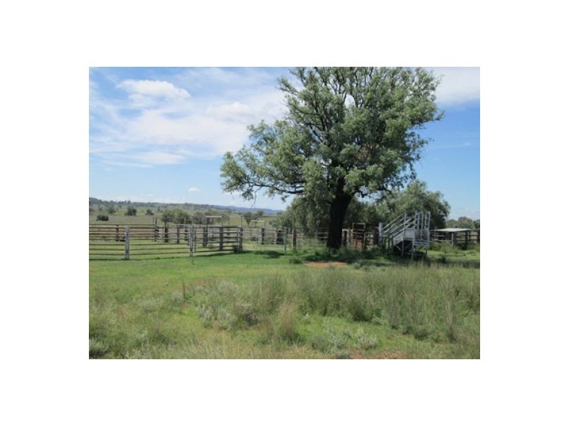 “Esmadale”, Warialda NSW 2402