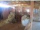 “Esmadale”, Warialda NSW 2402