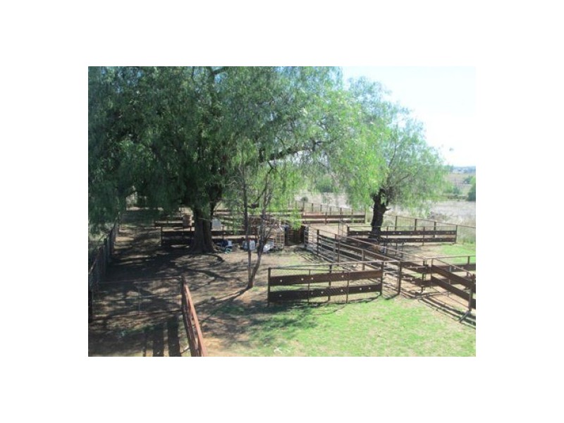 “Esmadale”, Warialda NSW 2402