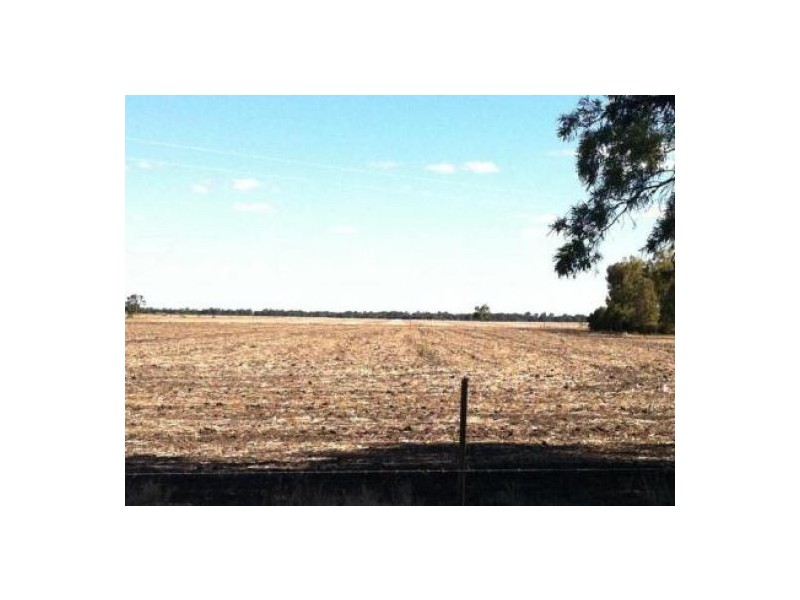 “Wheni”, Moree NSW 2400