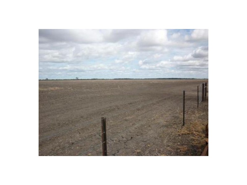 “Wheni”, Moree NSW 2400