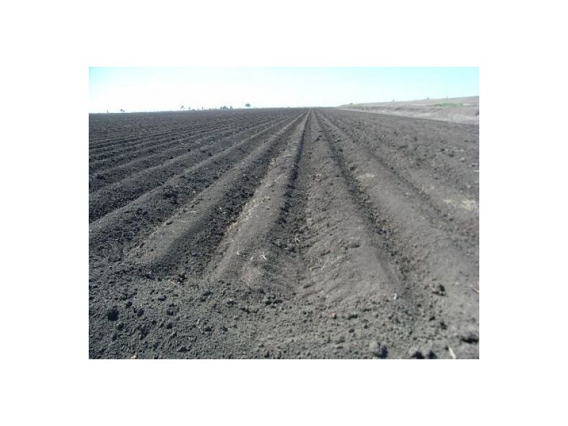 “Erinvale”, Moree NSW 2400