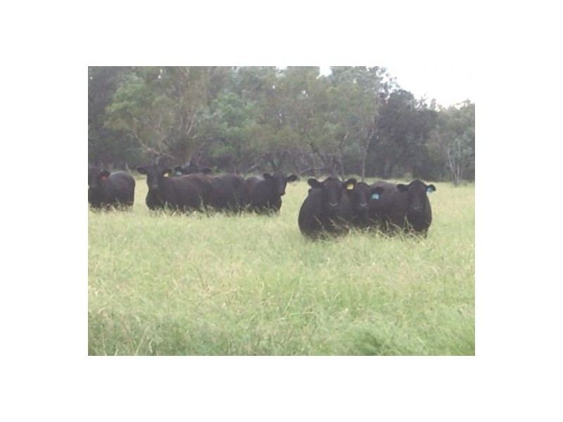 “Erinvale”, Moree NSW 2400