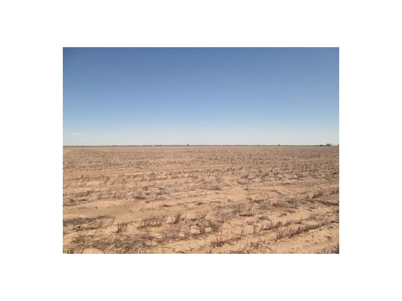 “Barton Plains”, Moree NSW 2400