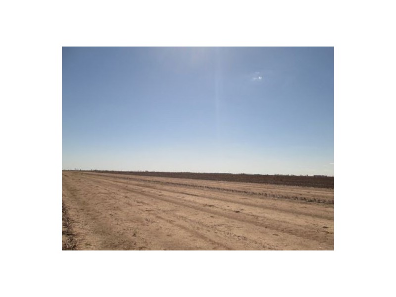 “Barton Plains”, Moree NSW 2400