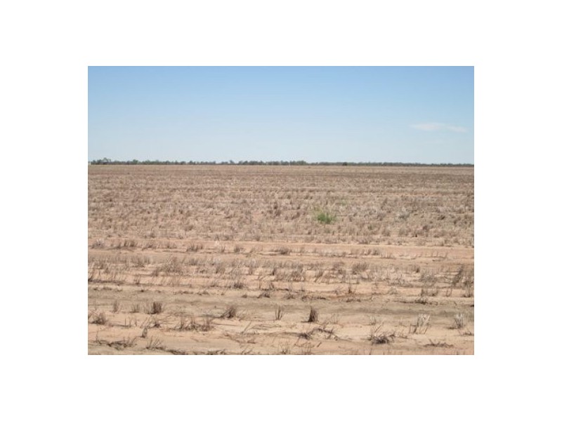 “Barton Plains”, Moree NSW 2400