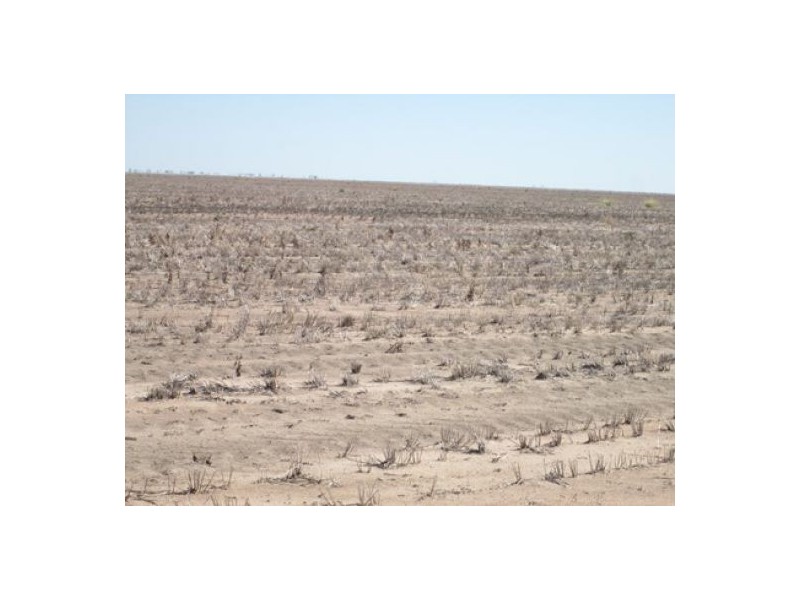 “Barton Plains”, Moree NSW 2400