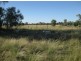 “North Bimble”, Pallamallawa NSW 2399
