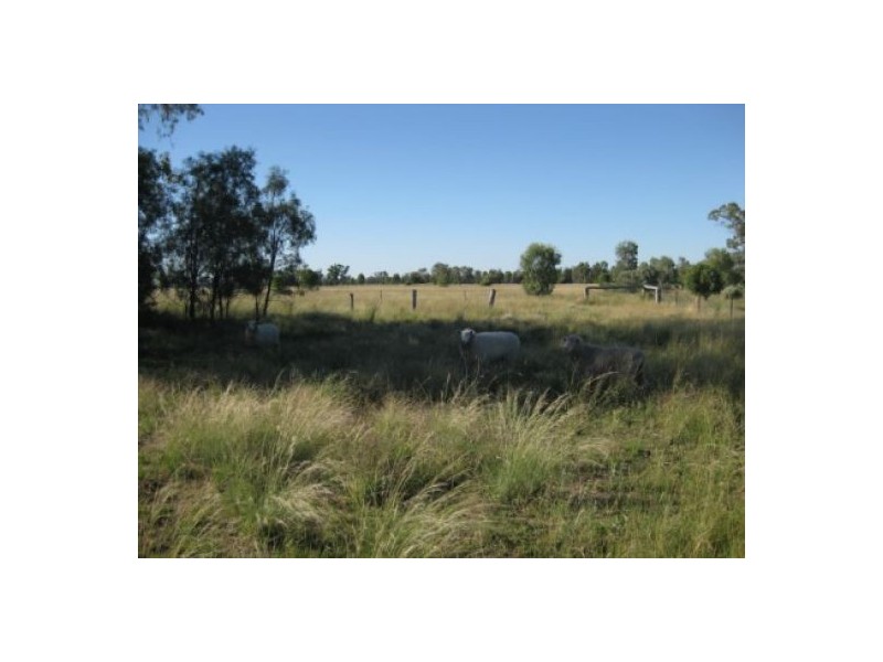 “North Bimble”, Pallamallawa NSW 2399
