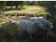 “North Bimble”, Pallamallawa NSW 2399