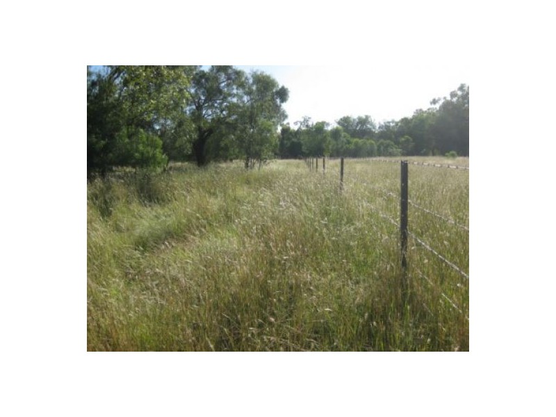 “North Bimble”, Pallamallawa NSW 2399