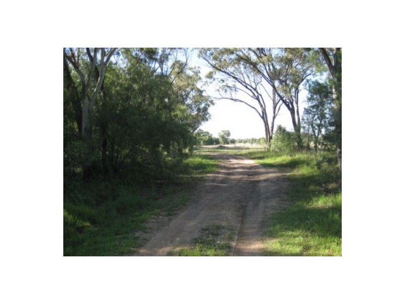 “North Bimble”, Pallamallawa NSW 2399
