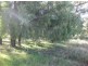 “North Bimble”, Pallamallawa NSW 2399