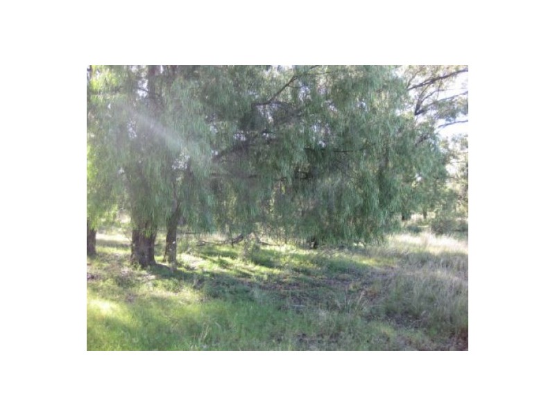 “North Bimble”, Pallamallawa NSW 2399