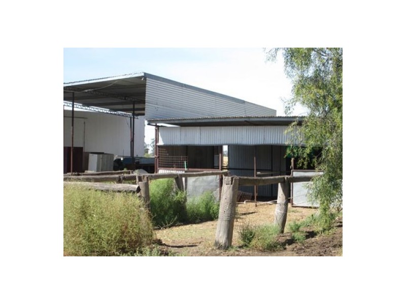 “Yuruga”, Moree NSW 2400