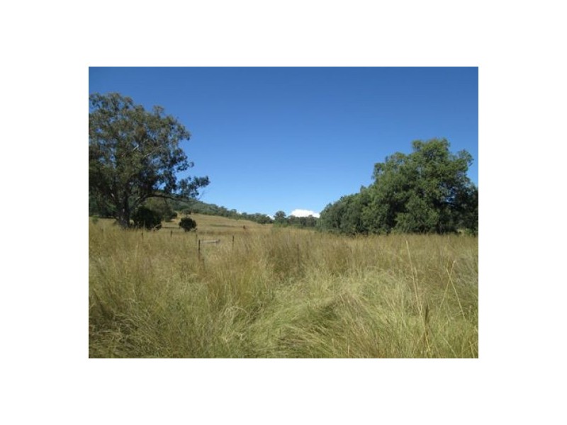 “Gunna Gumpy”, Delungra NSW 2403