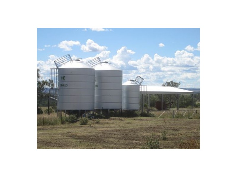 “Gunna Gumpy”, Delungra NSW 2403