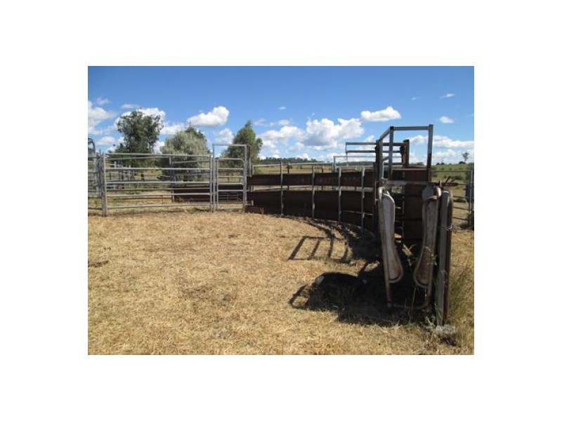 “Gunna Gumpy”, Delungra NSW 2403