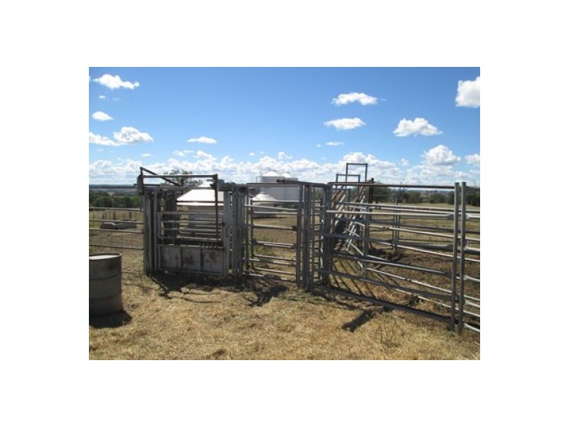 “Gunna Gumpy”, Delungra NSW 2403