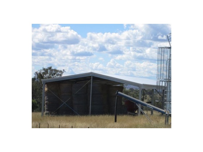 “Gunna Gumpy”, Delungra NSW 2403