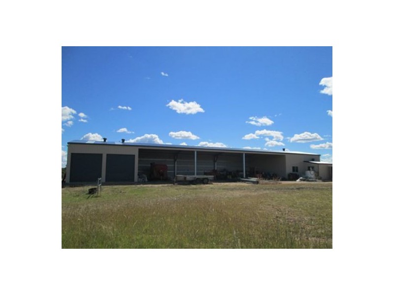 “Gunna Gumpy”, Delungra NSW 2403