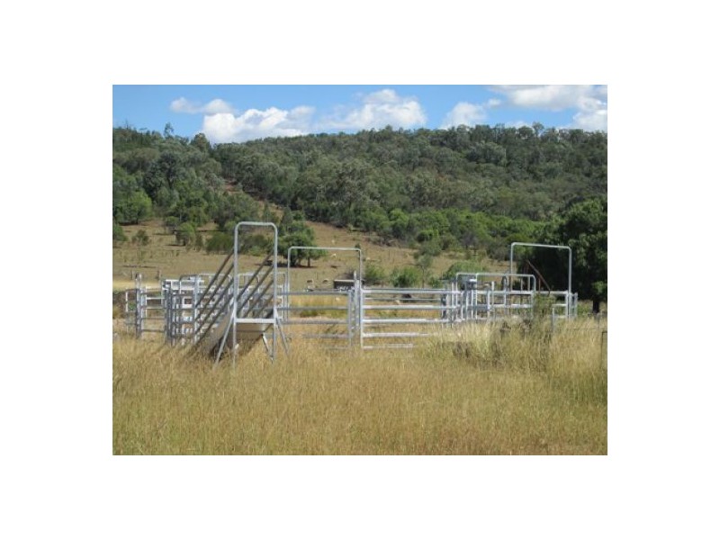 “Gunna Gumpy”, Delungra NSW 2403