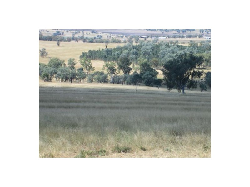 “Gunna Gumpy”, Delungra NSW 2403